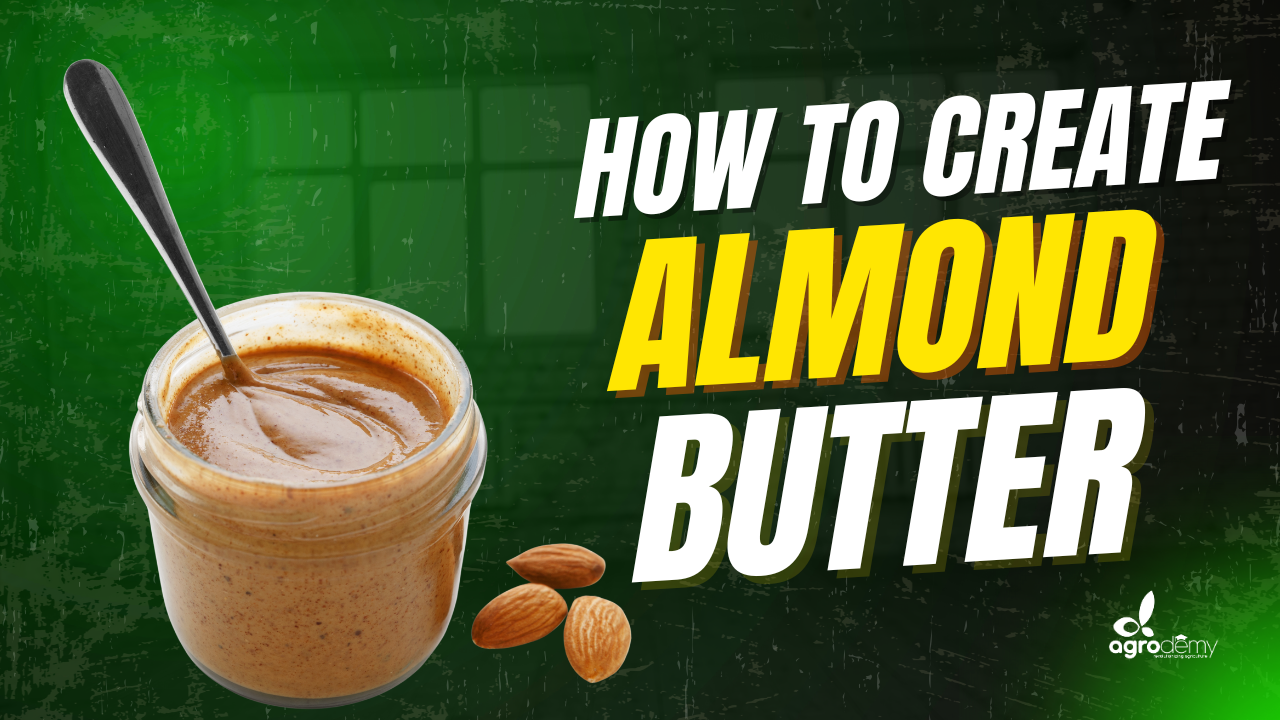Almond Butter Production and Business: From Kitchen to Market