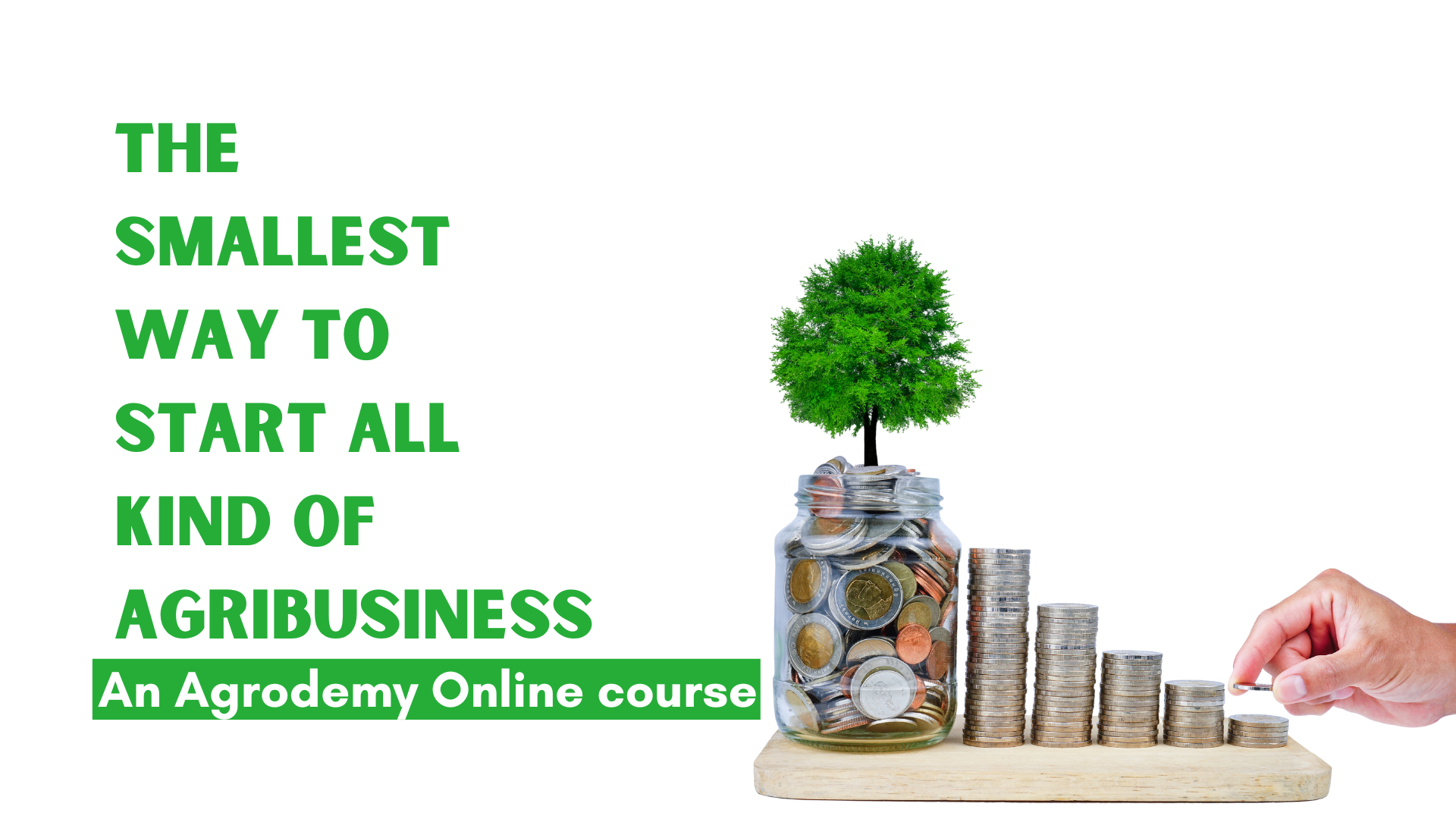 The smallest way to start any agribusiness