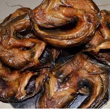 Catfish processing training