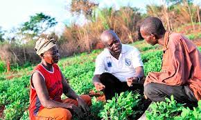 7-proven-study-techniques-for-online-learners