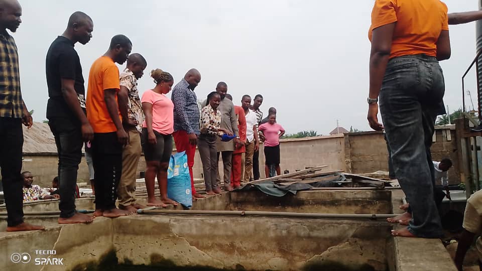 Catfish Farming - Image 4
