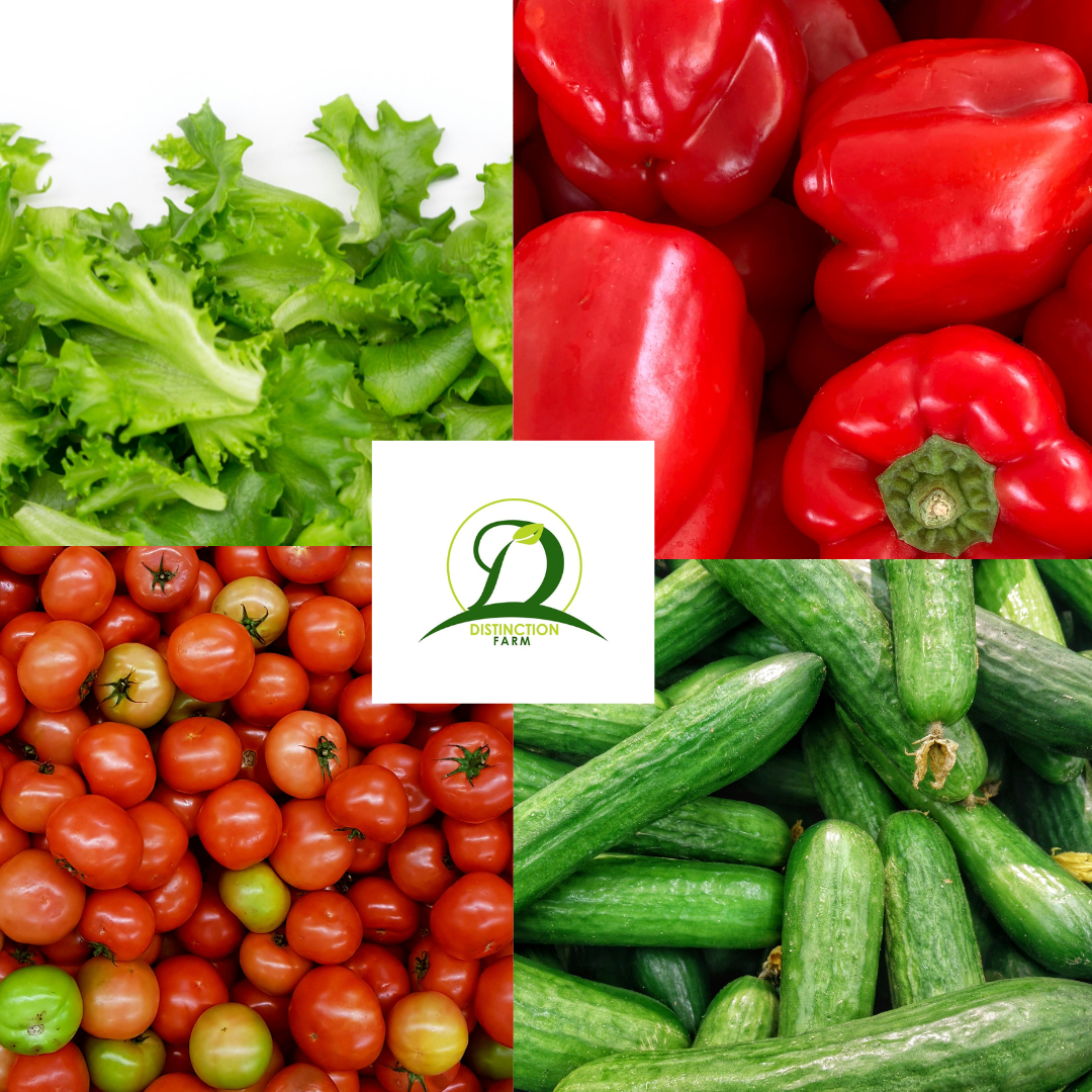 Fruits & Vegetables Production