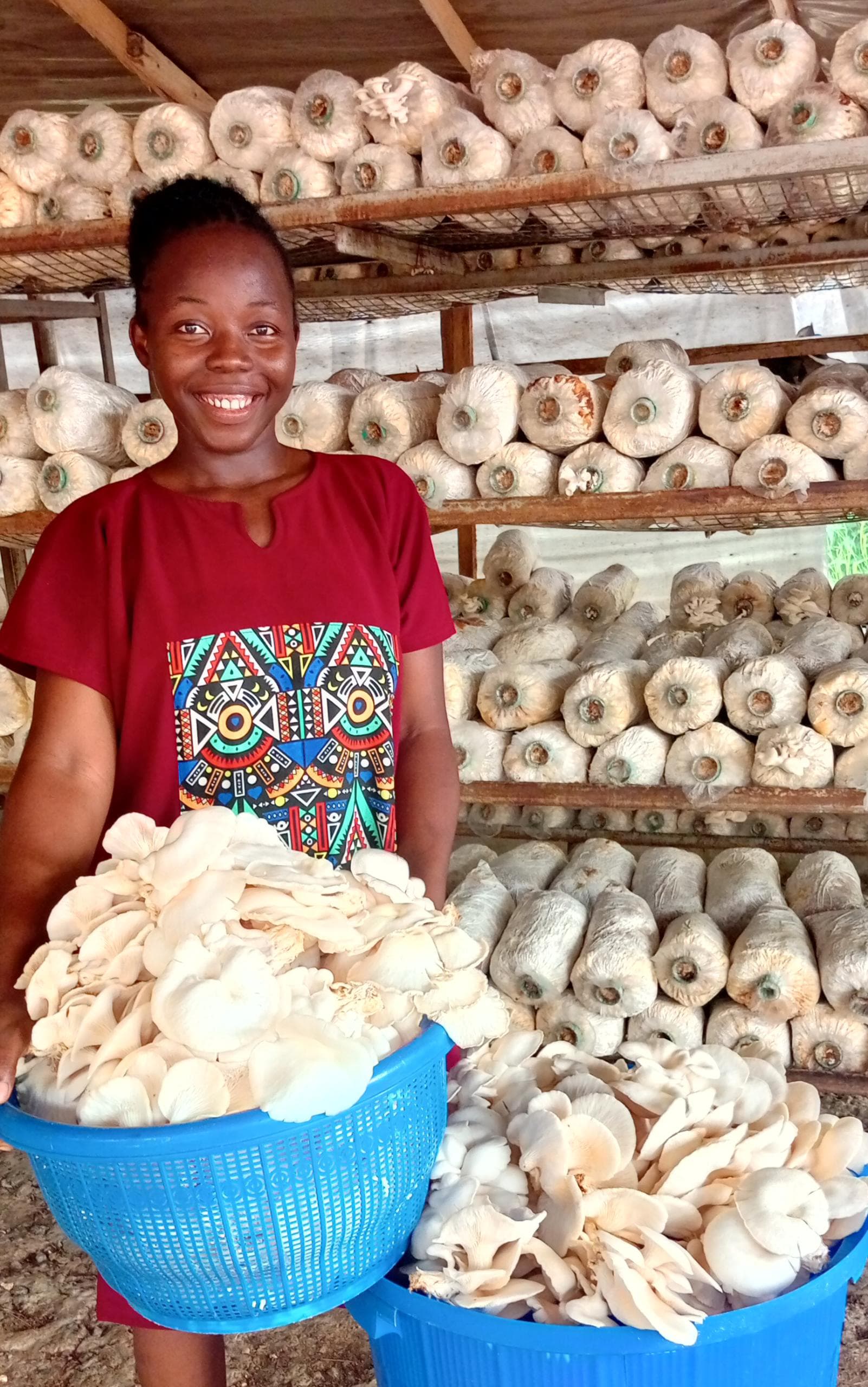 Organic Mushroom Farming - Image 2