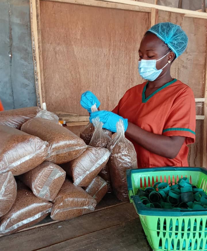 Organic Mushroom Farming - Image 3