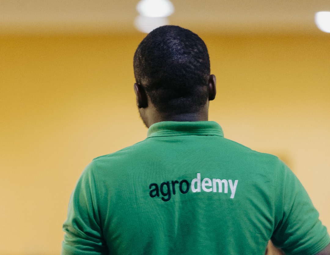 7-proven-study-techniques-for-online-learners