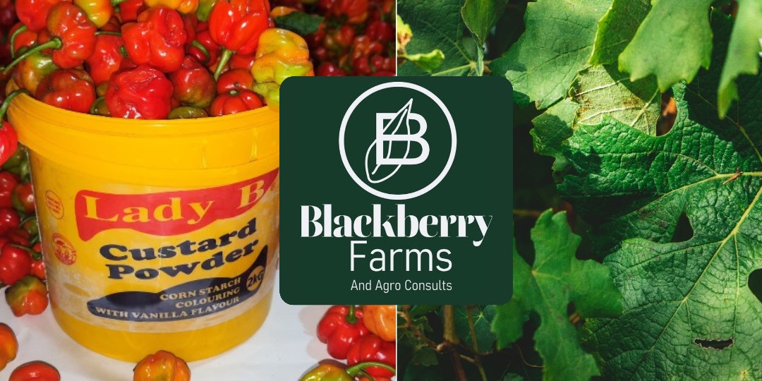 Leafy & Fruity Vegetable Farming