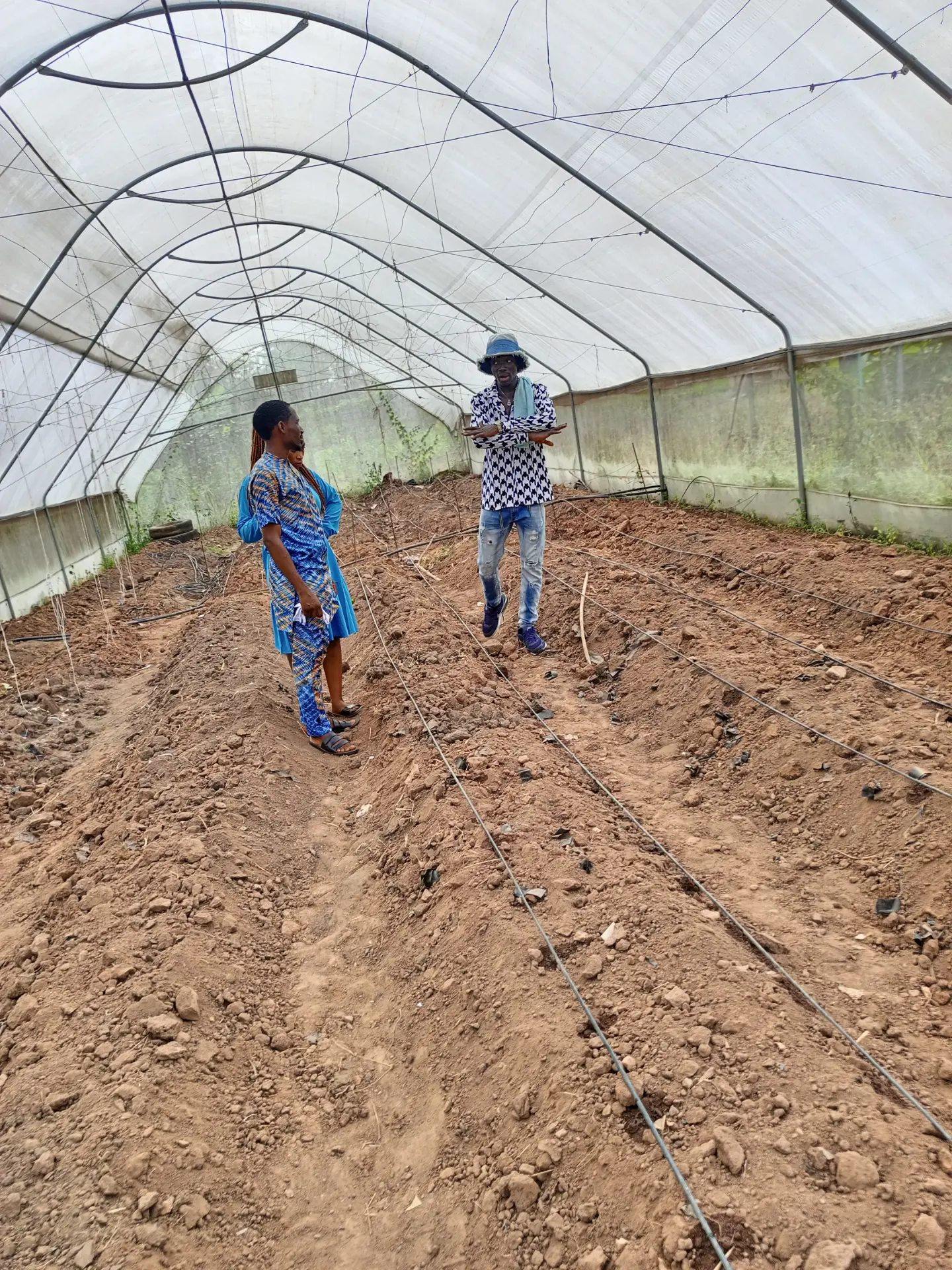 Fruits & Vegetables Production - Image 3