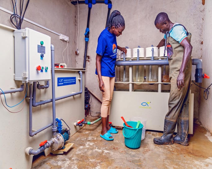 Animal Feed Formulation - Image 3