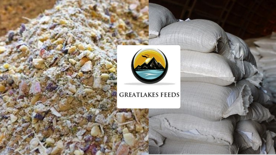 Animal Feed Formulation