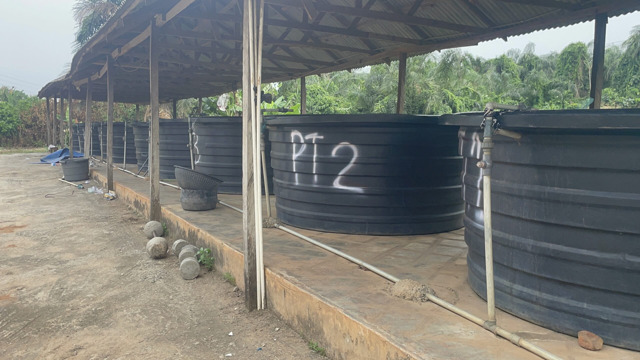 Integrated Livestock Farming - Image 2