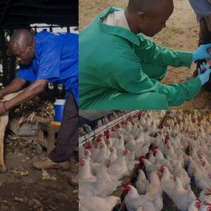 Livestock Health & Nutrition Training