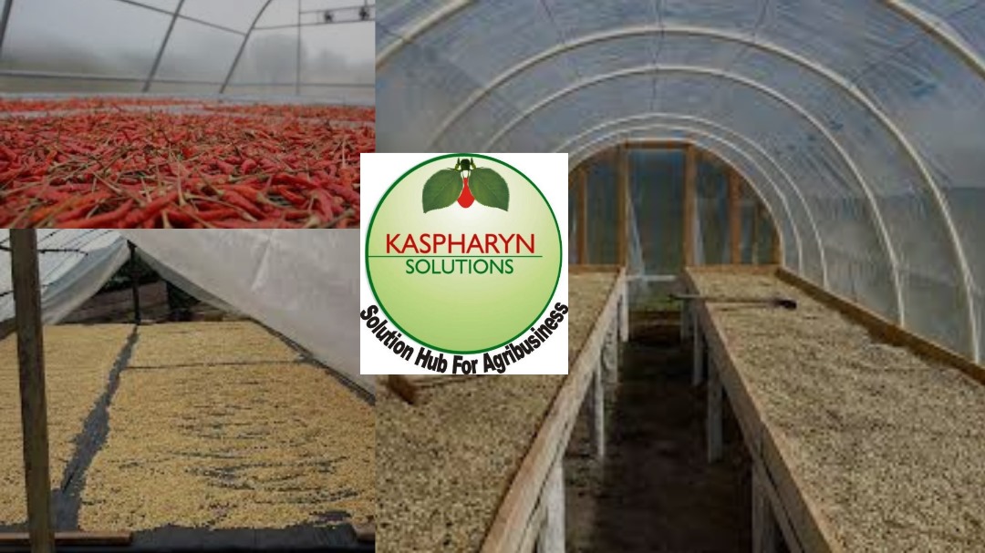 Solar Agro Drying