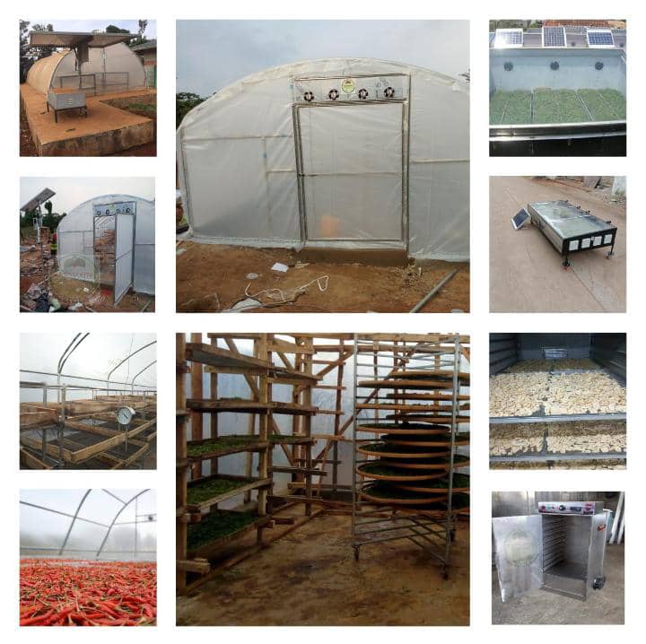Solar Agro Drying - Image 2