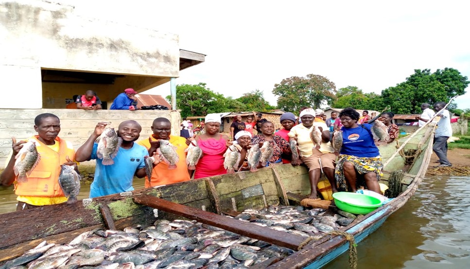 Tilapia Pond & Cage Farming - Image 2