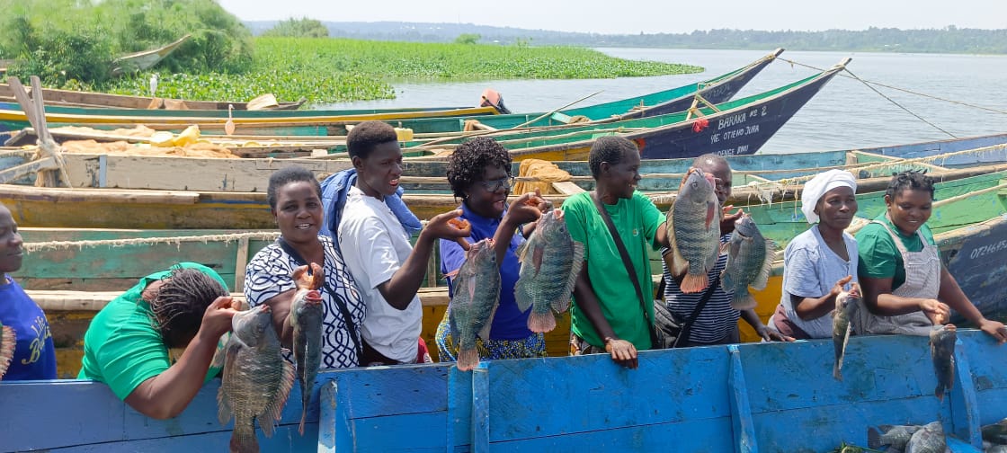 Tilapia Pond & Cage Farming - Image 3