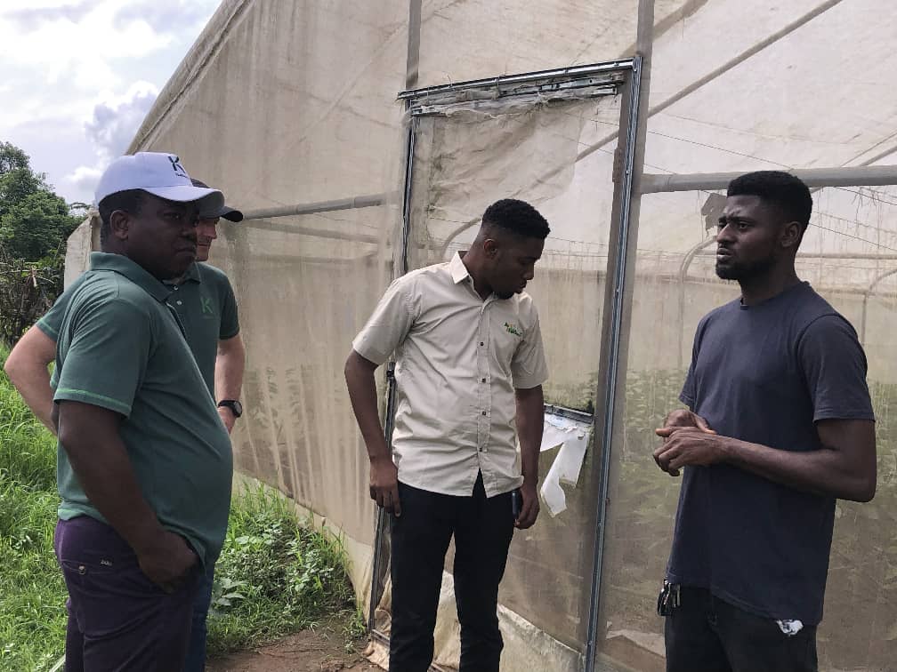 Greenhouse Farming - Image 2