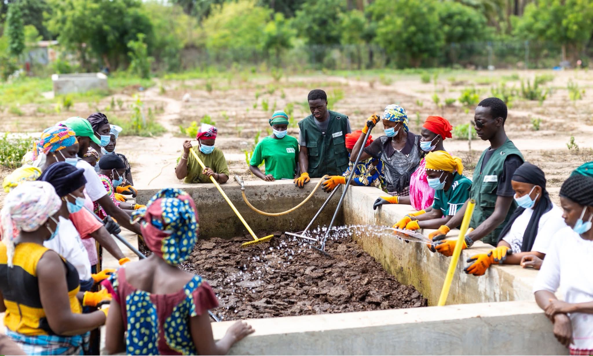 Biochar Production & Application - Image 4