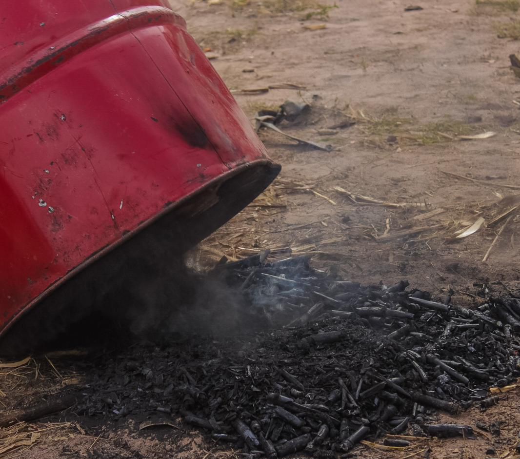 Biochar Production & Application - Image 2