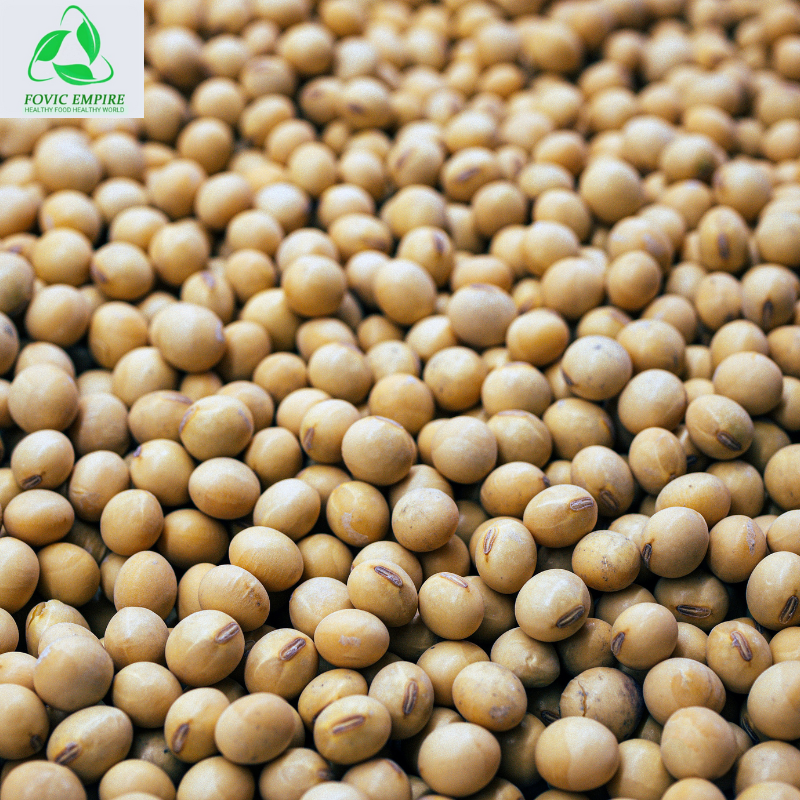 Climate-Smart Soya Beans Farming