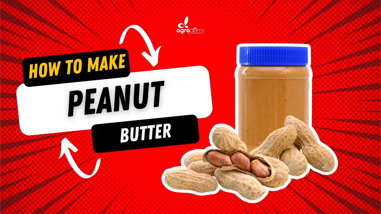 PEANUT BUTTER PRODUCTION COURSE