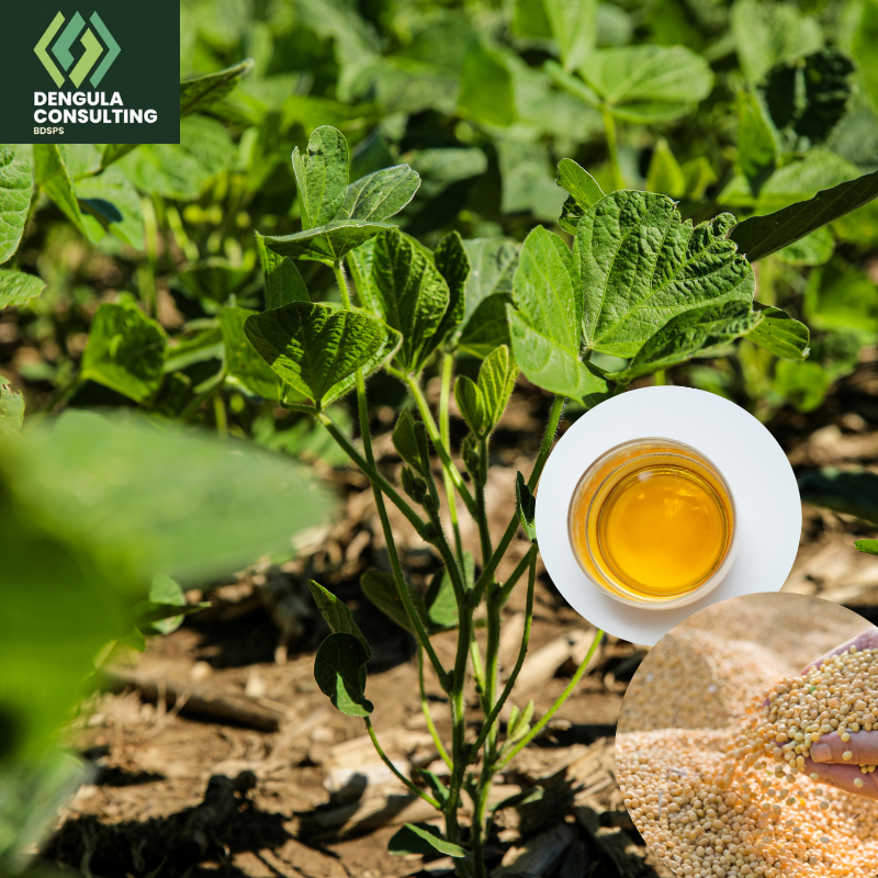 Soyabean Production & Processing