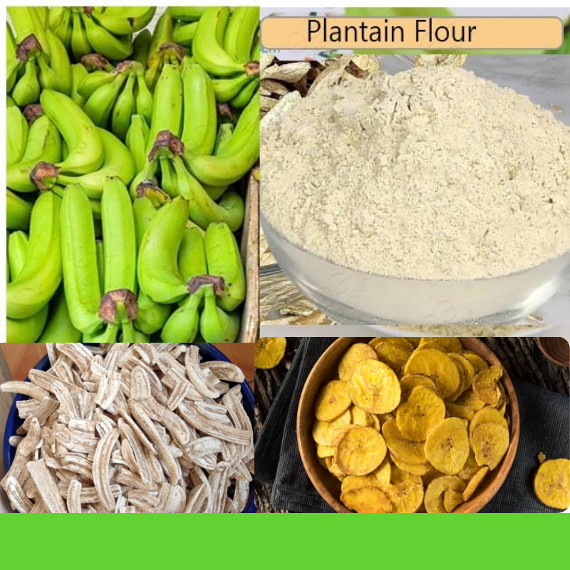 Plantain Processing
