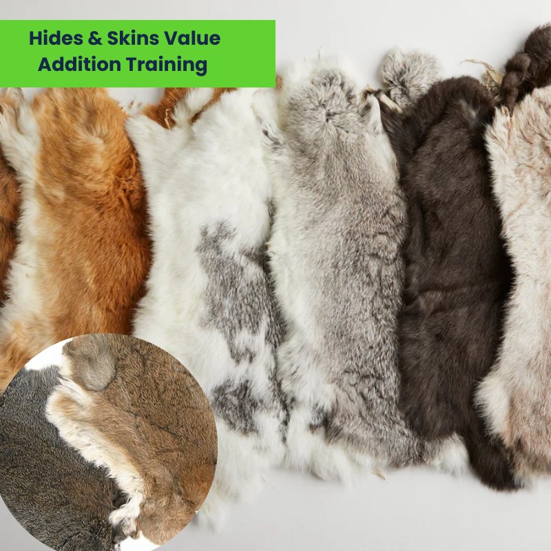 Hides & Skins Value Addition Training