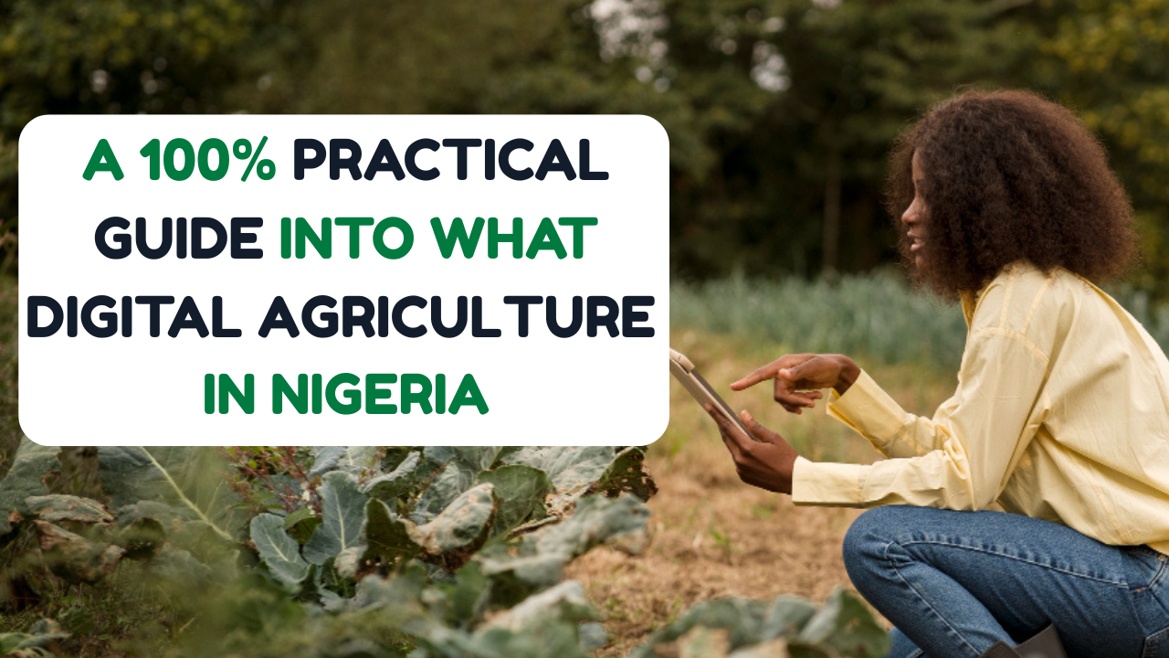 A 100% Practical Guide into what Digital Agriculture in Nigeria