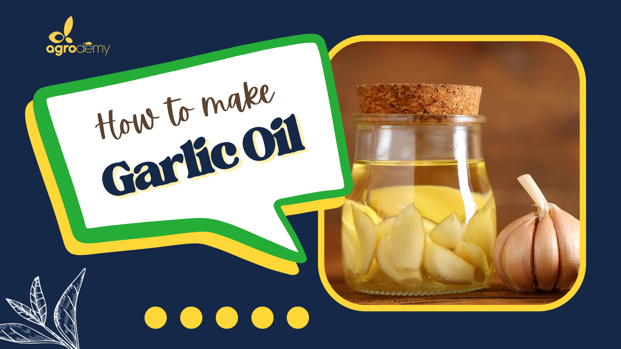 Garlic Oil Production: Natural Health & Culinary Oil Business