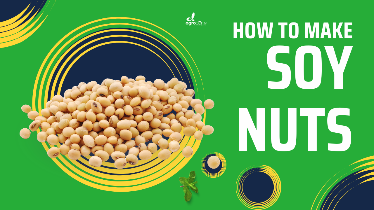 Soy Nuts Production: Healthy Protein Snack Business