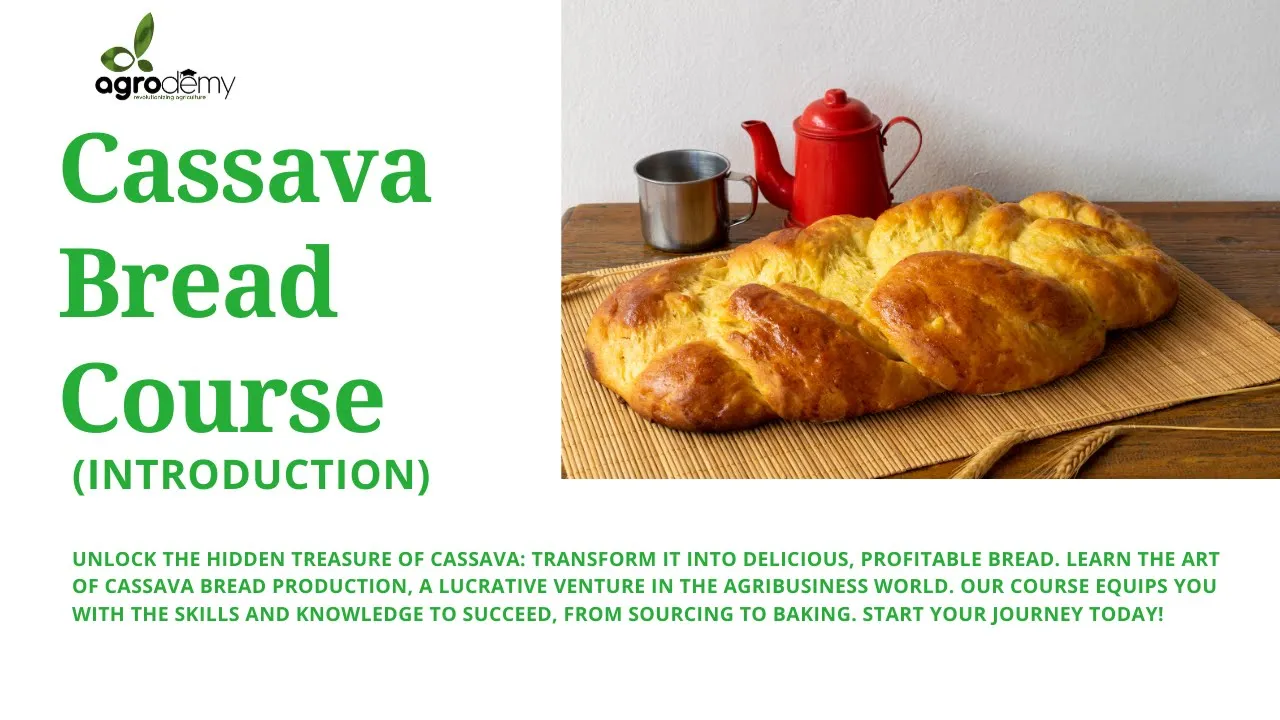 Bread Introduction Cassava Bread Production: Introduction - Agrodemy