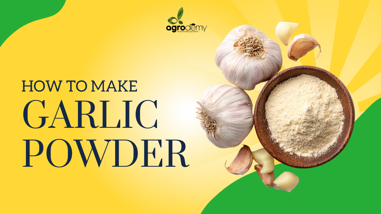 From Clove to Powder: Mastering Garlic Powder Production