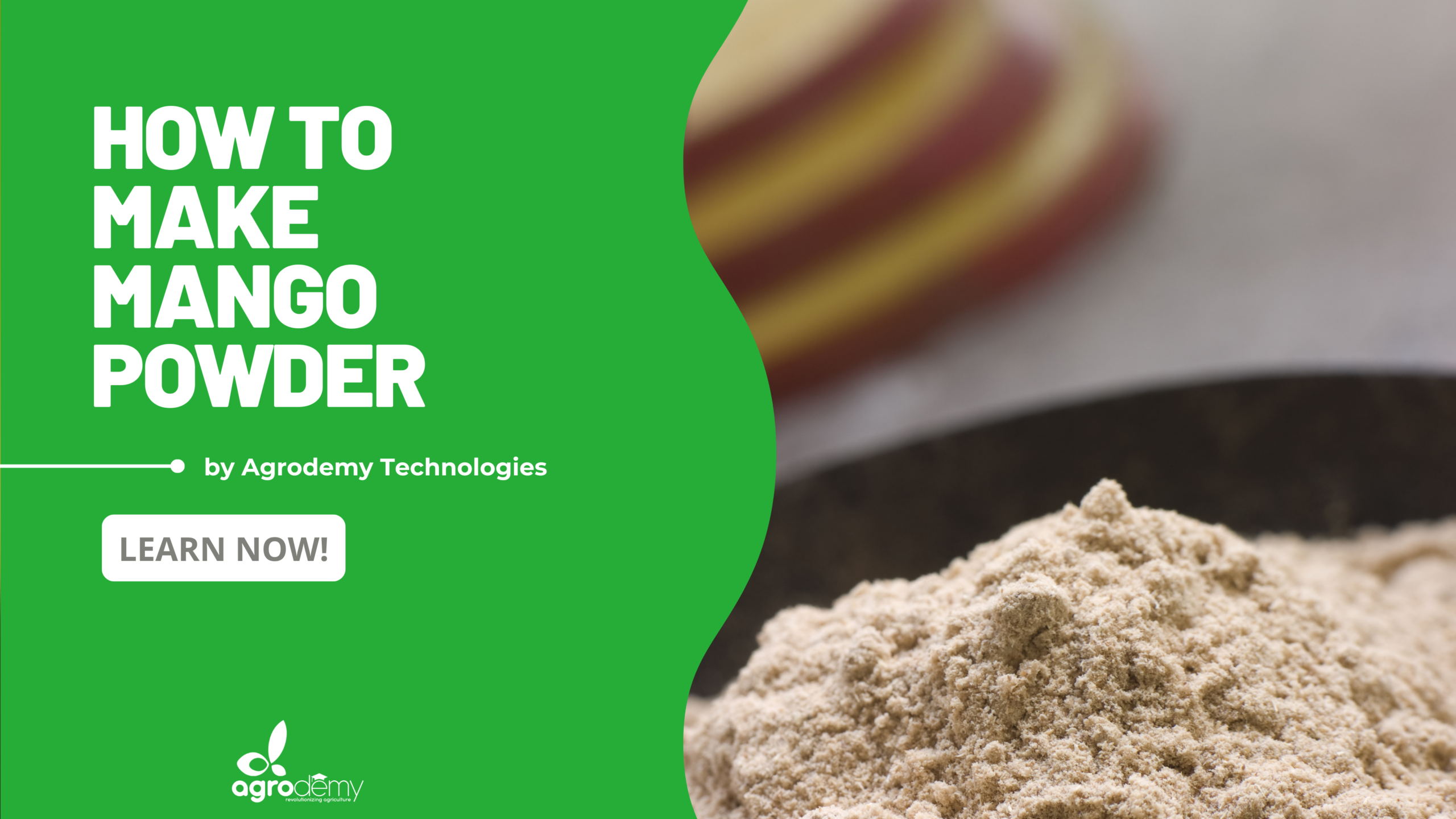 Mango Powder Production: Turn Fresh Mangoes into Profitable Powder