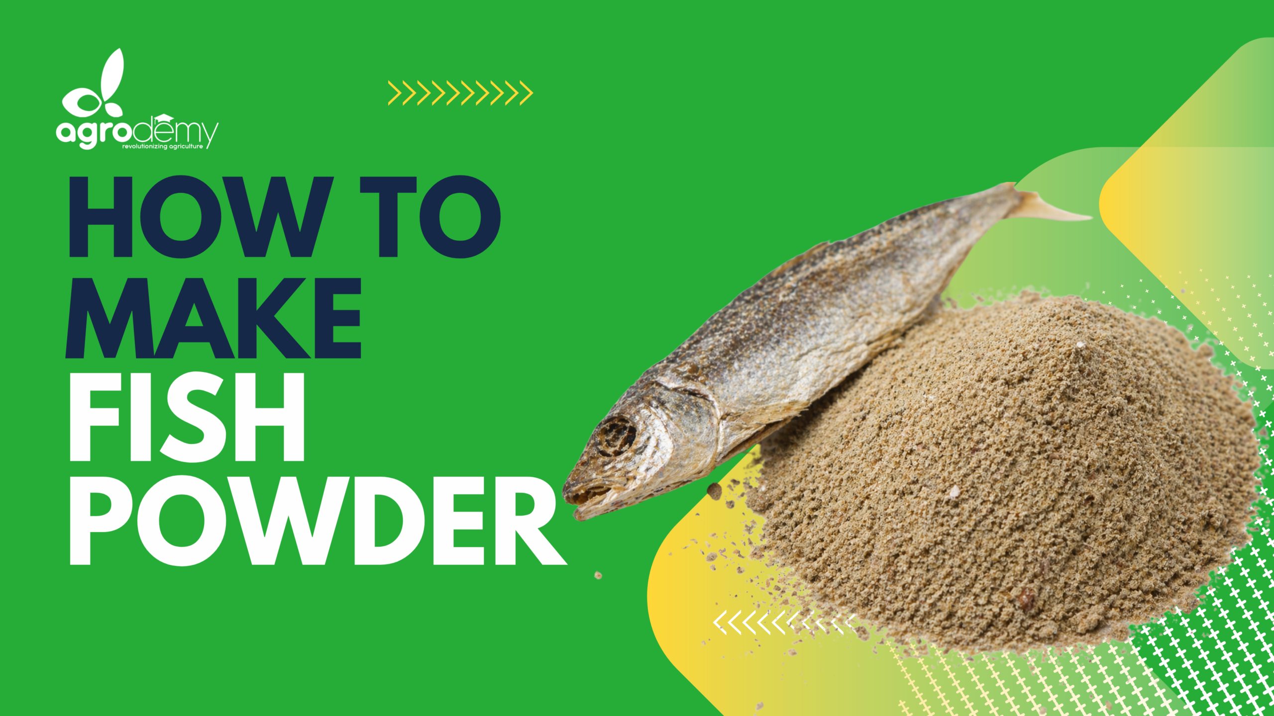 From Fish to Powder: Mastering Fish Powder Production