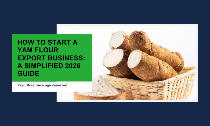 How to Start a Yam Flour Export Business: A Simplified 2026 Guide