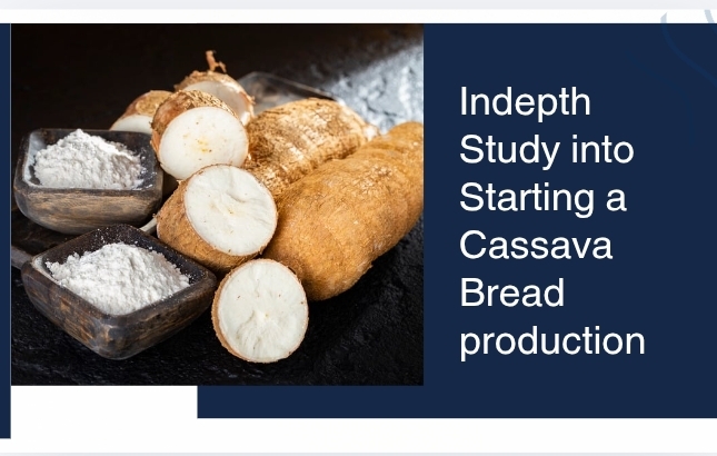 Cassava Bread Production: Step-by-Step Guide, Benefits & Business Opportunities