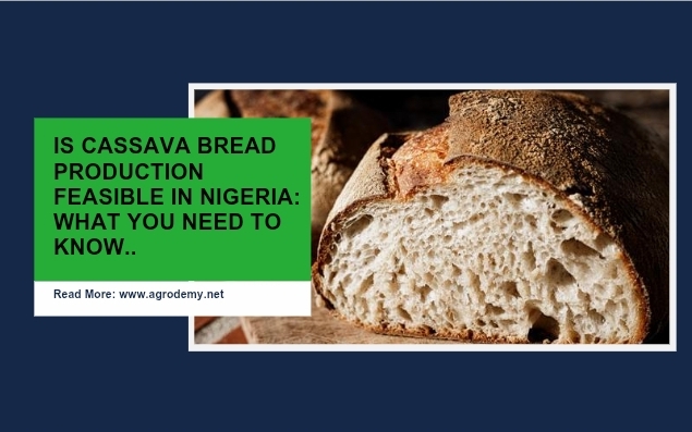 The Ultimate Guide of Yam Flour Business processing in 2026