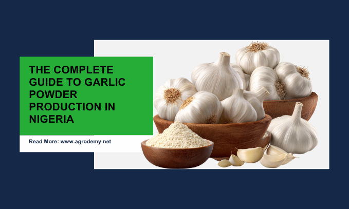 The Complete Guide to Garlic Powder Production in Nigeria