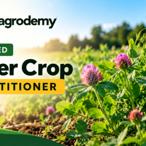 Cover Crop Practitioner
